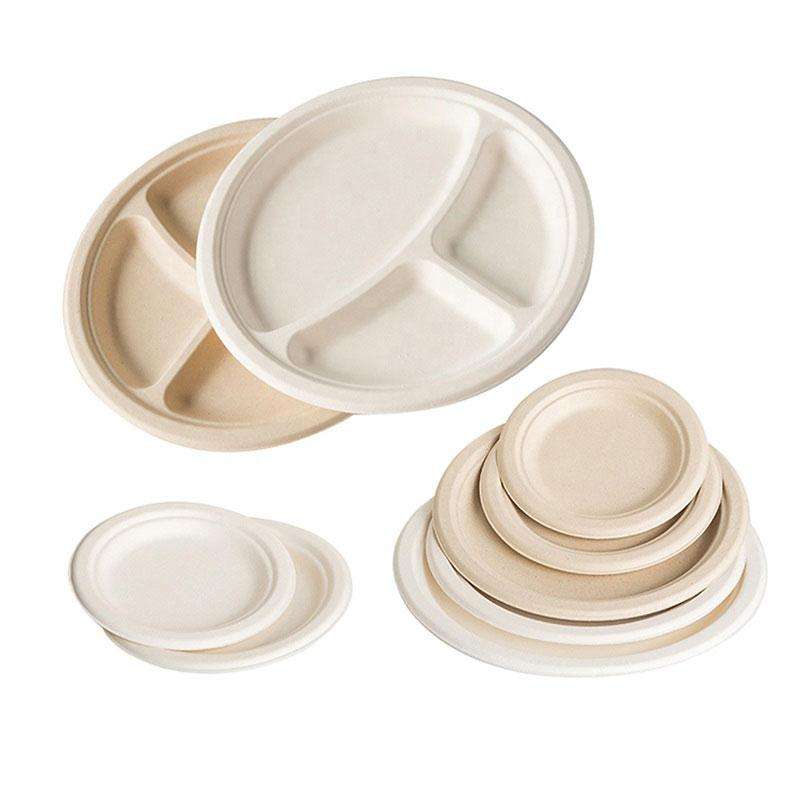 Compostable 3 Div Compartments Biodegradable Eco-Friendly Recyclable Food Grade Disposable Sugarcane Pulp Paper Plate