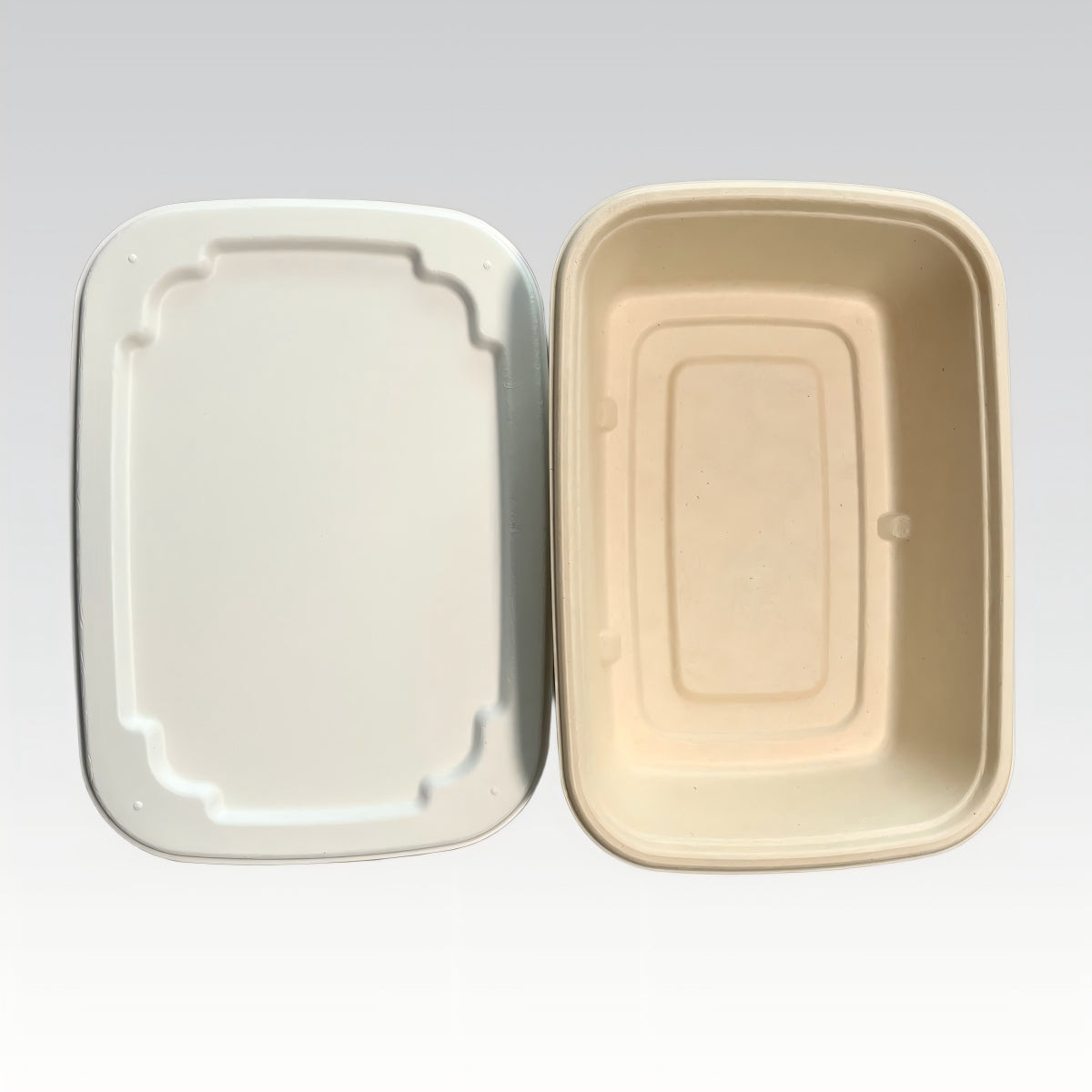Rectangle Disposable 790ml Sugarcane Bagasse Disposable Food Container with Lid
