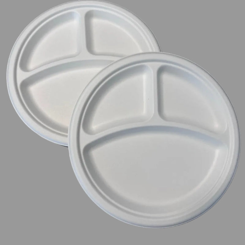 Disposable Biodegradable Sugarcane Bagasse Food Container 10inch Takeway Fast Food Lunch Box