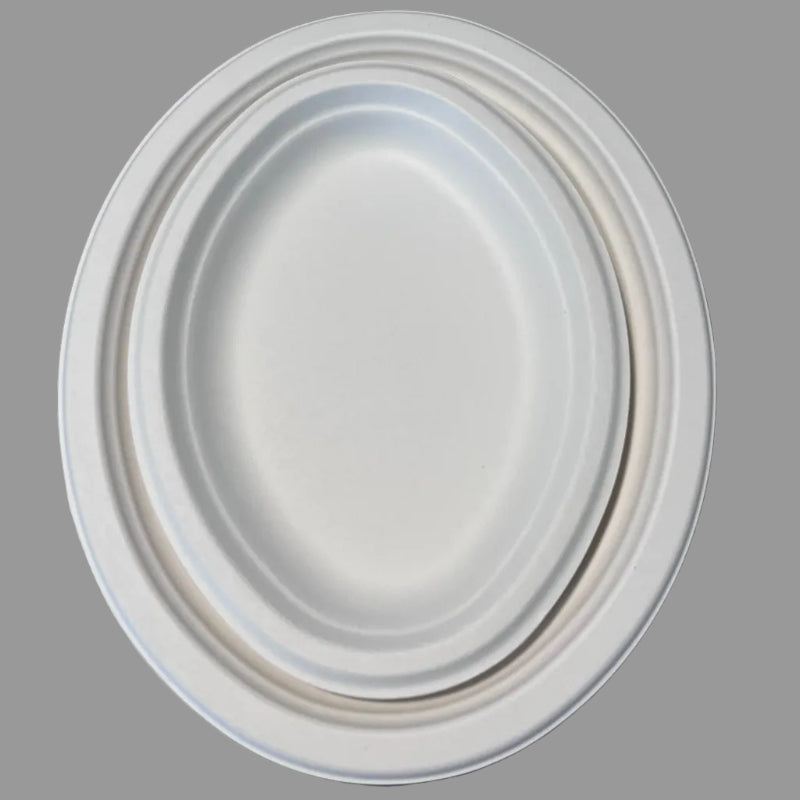Disposable 10 Inch Plate Dish Eco-Friendly Minimalist Design Biodegradable Bagasse Tableware Environmental Protection