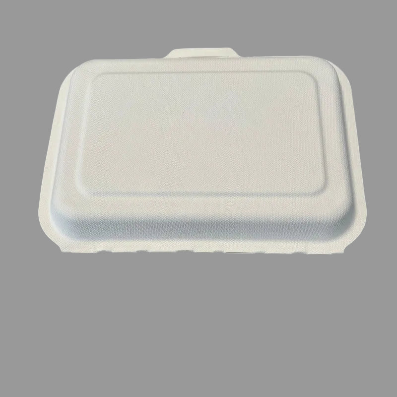 Eco Biodegradable Food Packing Container Takeway Pulp Sugarcane Bagasse Lunch Box