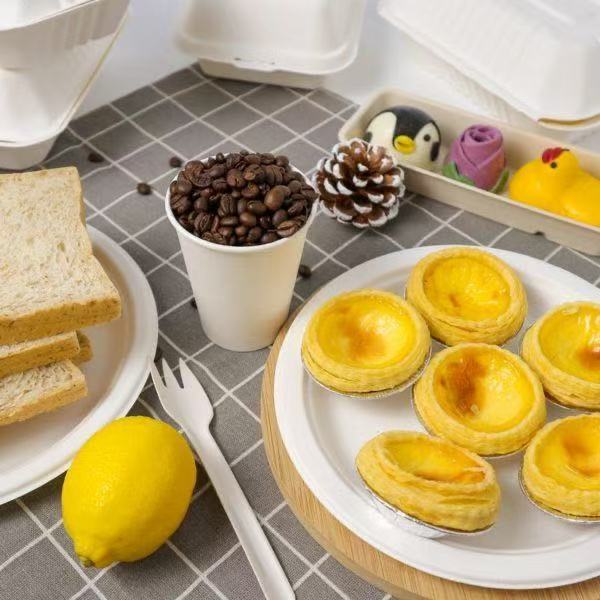 Sugarcane bagasse disposable food packaging containers for bakery, coffee shop, and takeout use