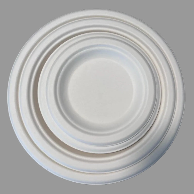 Biodegradable Paper Lunch Box Packaging Disposable Bagasse Clamshell Box