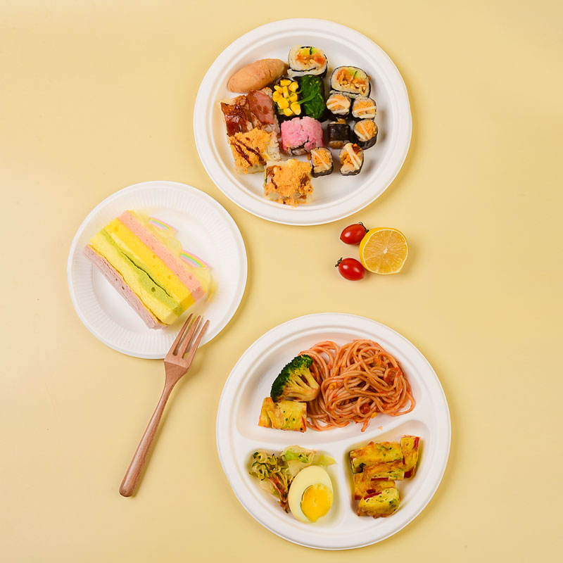 Compostable 3 Div Compartments Biodegradable Eco-Friendly Recyclable Food Grade Disposable Sugarcane Pulp Paper Plate