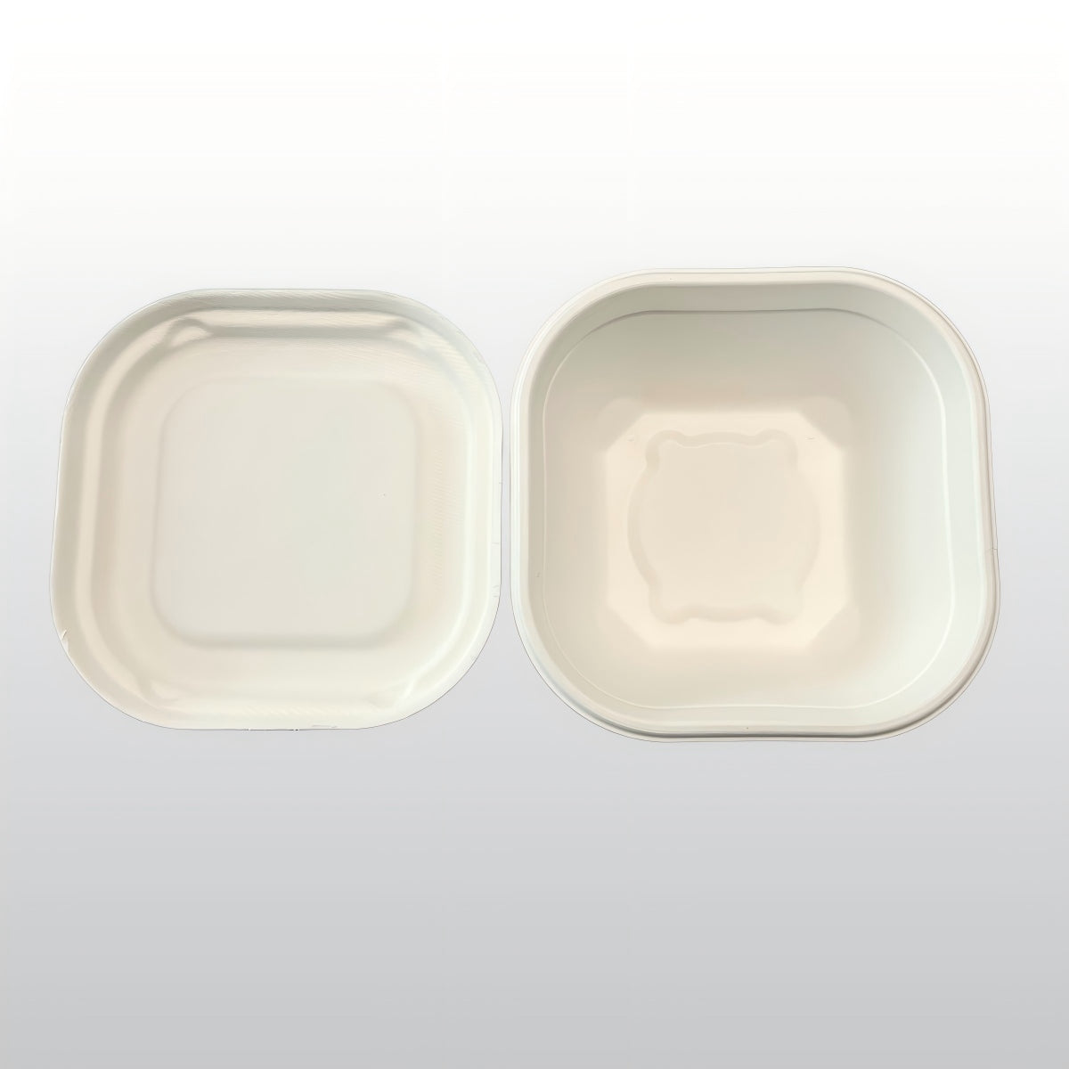 Disposable Square Biodegradable Sugarcane Bagasse Bowl with Lid